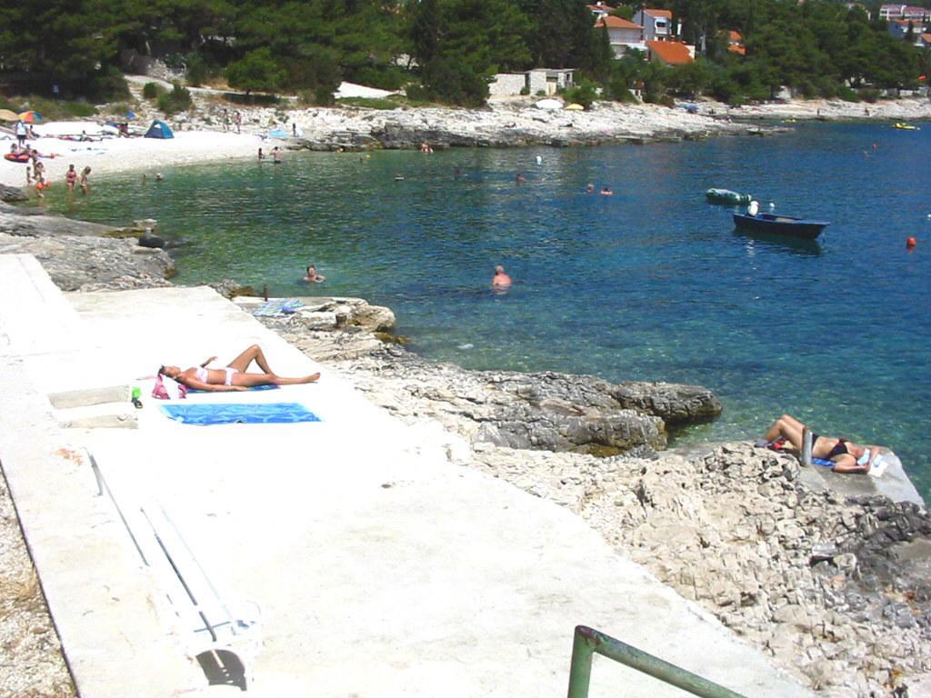 Apartmán Zvjezdana *